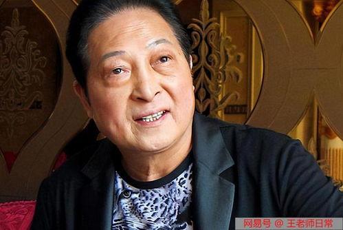 王林明星,星光璀璨的影视新星，演绎人生百态