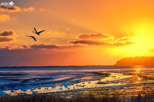 晨翔的背景,从平凡少年到闪耀明星的蜕变之路
