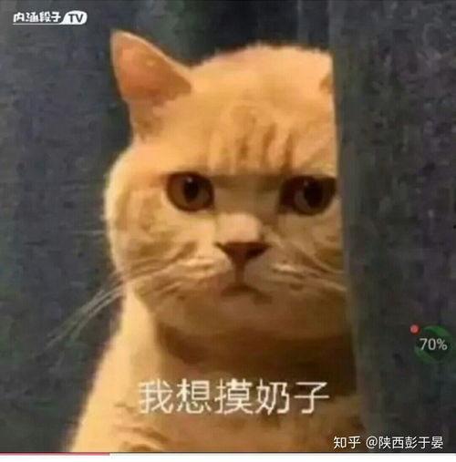 搞笑的好看的,搞笑好看到你停不下来