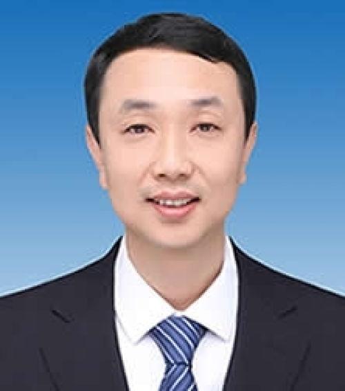 导演张健资料,影视创作中的艺术追求与匠心独运